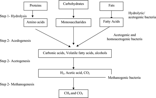 Figure 3. Schematic diagram of anaerobic digestion indicating the process steps and the four bacteria groups involved in the process (Garcia-Heras 2003).