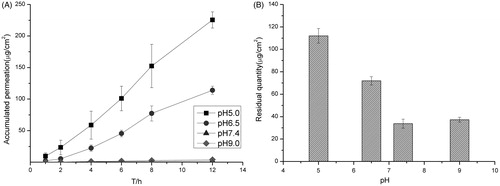 Figure 1. (A) Accumulative amount of drug permeated in 12 h under different pH of the PBS buffer and (B) the amount of drug remained in the skin under different pH of the PBS buffer. Data represents mean with standard deviation at n = 3.