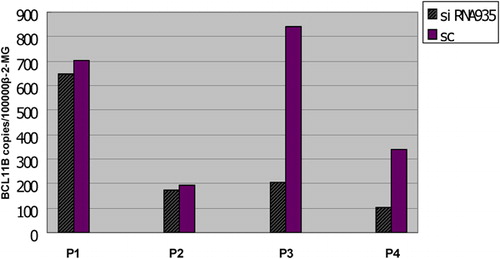 Figure 2. Inhibition of BCL11B expression in primary leukemic cells from four patients (from P1 to P4) by RNA interference using BCL11B-935-siRNA.