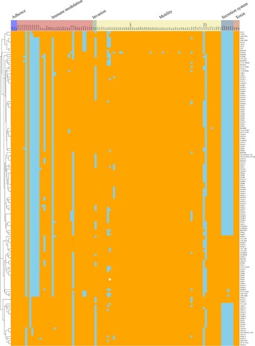 Figure 6. Heatmap of the distribution of virulence genes. Orange indicates the presence, and skyblue indicates the absence.