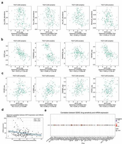 Figure 6. AKT3 is associated with tumor immune infiltration and drug sensitivity. (a) Correlation with different types of immune infiltrates. (b) Correlation with immune-activating molecules. (c) Correlation with immunosuppressive molecules. (d) Correlation with the TGCT overall immune infiltration. (e) Correlation with the sensitivity to multiple drugs