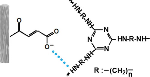 Scheme 2. Possible compatibilization reaction between MAH-g-CF and IFR.