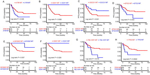 Figure 4. Assessment of the relationship between gene mutations and patients’ prognosis. K–M curves were applied to analyze the relationship between the mutations of (A) ATM, (B) SGK1, and (C) SOCS1 and the PFS of patients with DLBCL, as well as the relationship between the mutations of (D) BTG2, (E) NFKBIE, (F) SGK1, (G) TBL1XR1, and (H) TP53 and the OS of patients with DLBCL.