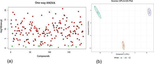Figure 4. Screening of differential metabolites. (a) ANOVA analysis of differential metabolites; (b) orthogonal partial least squares discriminant analysis (OPLS-DA) for metabolite screening of pepino from three different developmental stages.