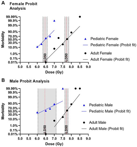 Figure 2. Age-Related Differences in LD50/30. (A) Percent morbidity in pediatric and adult female rats (individual data points) was fit with a probit regression analysis (solid line) to determine the expected percent mortality as a function of radiation dose. The calculated LD50/30 (red dashed line) with 95% confidence interval (gray region) for adult and pediatric female rats are 7.71 (CI: 7.61–7.85) Gy and 6.47 (CI: 6.14–8.12), respectively. The dose modifying factor (DMF) for female rats is 1.19. (B) Percent morbidity in pediatric and adult male rats (individual data points) was fit with a probit regression analysis (solid line) to determine the expected percent mortality as a function of radiation dose. The calculated LD50/30 (red dashed line) with a 95% confidence interval (gray region) for adult and pediatric male rats are 7.71 Gy (CI: 7.62–7.81) Gy and LD50/30 of 6.45 (CI: 6.01–7.11) Gy, respectively. The dose modifying factor (DMF) for male rats is 1.19.