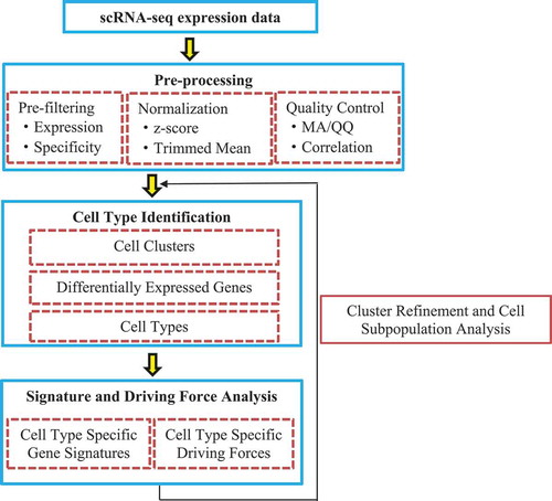 Figure 2. Flowchart of single-cell RNA-seq profiling analysis.