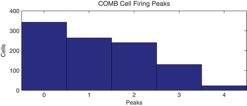 Figure 10. Specificity of COMB cell response.Histogram detailing the number of firing rate peaks (contiguous periods of elevated firing) for each cell in the COMB layer during testing as the model rotates through the full 360∘ space of head directions. A notable proportion of cells has less specific responses to HD in that they display two or more firing peaks.