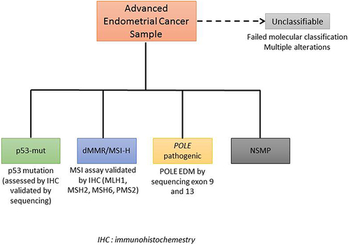 Figure 2 Schematic of the Leiden molecular classification. All molecular markers are determined for each sample at the same time and not in a stepwise fashion. If a sample present with multiple alterations, it is considered unclassifiable.