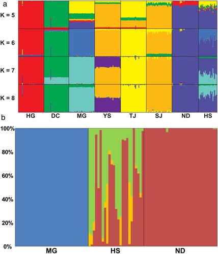 Figure 4. (a) Population structure of Rhodeus sinensis populations that was estimated using STRUCTURE analyses at K (cluster number) of 5–8 in descending order. (b) Contemporary genomic admixture analysis of population HS to discover the populational origin. Based on this analysis, population HS was at least partially originated from population ND. Each color bar represents posterior probability of individual ancestry, in which orange and green indicates the potential hybrid generations between populations (green: backcross, orange: F2).