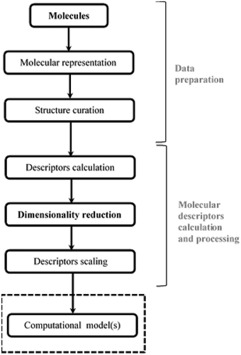 Figure 1. Principal steps of molecular descriptors generation for computational models