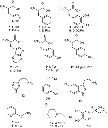 Figure 1. Chemical structures of compounds 1–19 investigated as CAAs in the present paper.