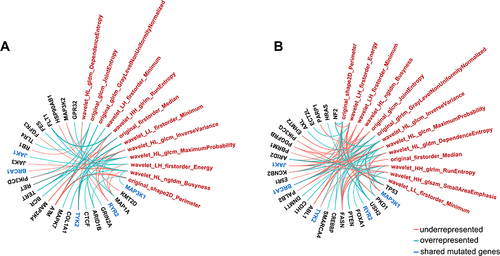 Figure 3 The association between mutated genes and radiomic features ((A), TNBC; (B), non-TNBC).