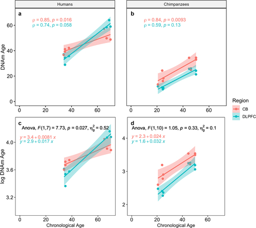 Figure 2. Epigenetic age estimates using the Horvath clock for humans and chimpanzees and results of the ANCOVA. A & B: Spearman’s rho is shown for each species (A = humans, B = chimpanzees) and region. C & D: Results of the ANCOVA comparing slopes of ageing for each region for (c) humans and (d) chimpanzees, along with the regression equations for each line. CB = cerebellum, DLPFC = dorsolateral prefrontal cortex.