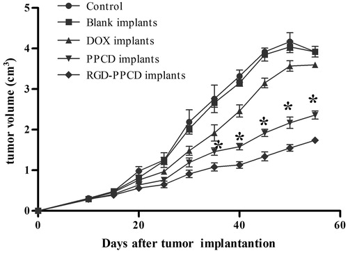 Figure 8. Tumor growth curve of in C6 tumor-bearing mice after the local application of DOX and DOX conjugate implants at the doses of 0.2 mg DOX-equiv. each mouse (n = 4). *p < 0.01, as PPCD implants compared with RGD-PPCD implants at the same time point.