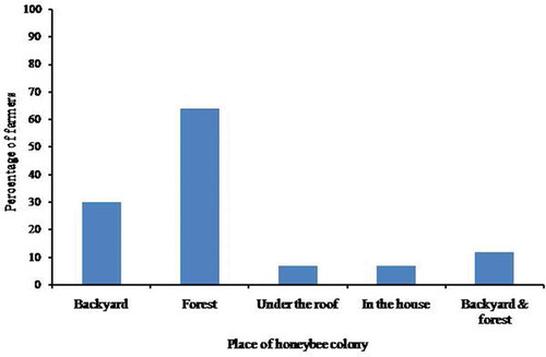 Figure 2. Place where beekeepers kept honeybee colony.