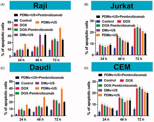 Figure 5. Raji, Daudi, Jurkat, and CEM cell apoptosis. Cell apoptosis was measured 24, 48, and 72 h after treatment with DOX, DOX + pembrolizumab, DMs + US, PDMs + US, and PDMs + US + pembrolizumab by flow cytometry. Data are represented as means ± SD (n = 3). *p < .05 compared with PDM + US.