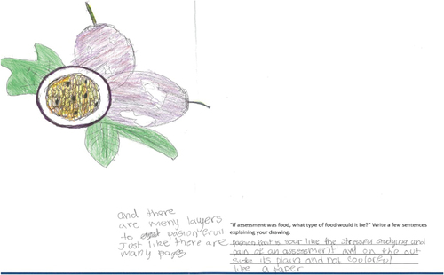 Figure 1. Passionfruit. The annotation reads ‘Passionfruit is sour like the stressful studying and pain of an assessment and on the outside it’s plain and not colourful like a paper and there are many layers to passionfruit just like there are many pages’.