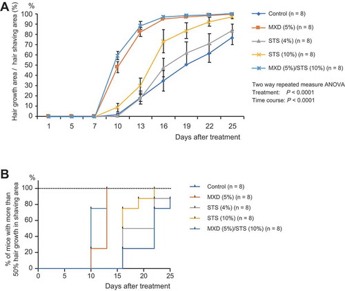 Figure 3. Effects of STS or combined STS/MXD treatment in the anagen model. (a) Time course of hair growth in control, MXD (5%), STS (4% or 10%), and MXD (5%)/STS (10%)-treated groups. The values represent mean ± S.E. (n = 8/group). (b) Kaplan–Meier estimates from no hair growth to 50% hair growth in control, MXD (5%), STS (4% or 10%), and MXD (5%)/STS (10%)-treated groups (n = 8/group). For detailed statistical information, see Supplemental Tables 5–6.