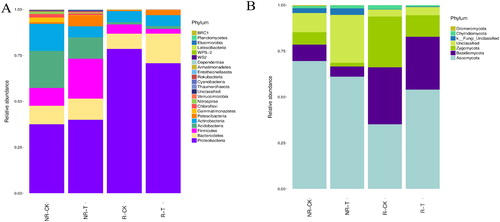 Figure 3. Relative abundance of bacterial (A) and fungal (B) species in different soil samples at the phylum level.