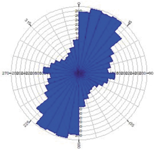 Figure 13. Rose diagram of lineaments.