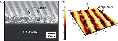 Figure 6. (a) SEM image and (b) 3D AFM image of thickness controlled Ni nanogratings.
