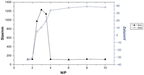 Figure 1 Effects of N/P ratio on size and zeta potential of PEI/ASON complexes.Abbreviations: PEI, polyethylenimine; ASON, antisense oligonucleotide.