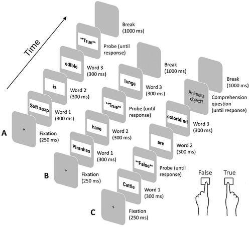 Figure 1 Trial structure of the experiment. (A) Experimental trials. (B) Filler trials with probe after the second word. (C) Filler trials with probe after the first word.