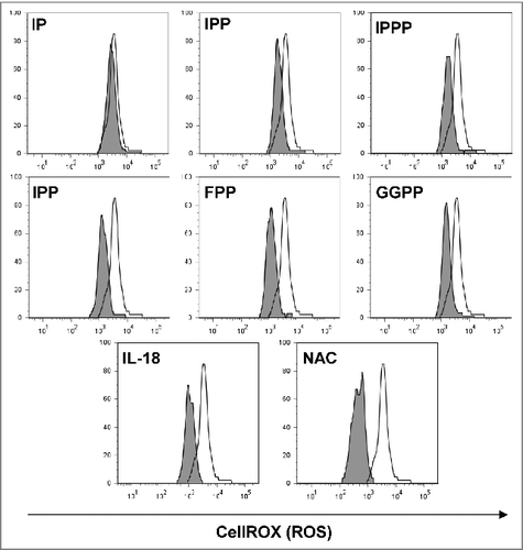Figure 4. Mevalonate-derived isoprenoid pyrophosphates, IL-18 and N-acetylcysteine (NAC) increased cellular tolerance of Vγ9Vδ2 T cells to H2O2-induced oxidative stress. Peripheral blood mononuclear cells (PBMCs) at 1.5 × 106/mL were seeded in round-bottom 96 wells and treated with 10 μM of the various mevalonate-derived isoprenoid pyrophosphates, 100 ng/mL IL-18 or 100 μM N-acetylcysteine (NAC). Cells were challenged with 10 μM H2O2 for 1 h followed by the addition of 5 μM CellROX Deep Red Reagent for the detection of reactive oxygen species (ROS). After 30 min, cells were washed and cellular fluorescence was determined by flow cytometry. Data are representative of 4 independent experiments with 2 different donors.