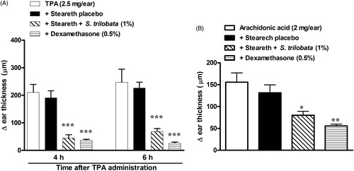 Figure 4. Effects of semisolids containing S. trilobata dried extract (1.0%), dexamethasone (0.5%) or placebo (Steareth21®) on ear edema induced by (A) TPA (2.5 mg/ear) or (B) AA (2 mg/ear) in mice. Each group represents the mean of five to seven animals, and the vertical bars indicate the S.E.M. Significant differences from control values are indicated as *p < 0.05, **p < 0.01 and ***p < 0.001 (one-way ANOVA followed by the Newman–Keuls post hoc test).