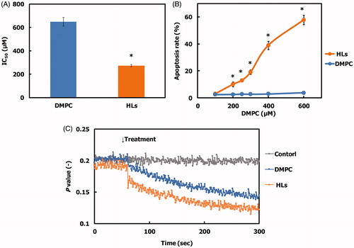 Figure 2. (A) 50% inhibitory concentration (IC50) for HLs and DMPC liposomes on the growth of HCT116 cells after 48 h. The values represent the mean ± S.E. *p < .05 (vs. DMPC). (B) Apoptosis rate for HCT116 cells treated with HLs for 48 h. The values represent the mean ± S.E. *p < .05 (vs. DMPC). (C) Time course of fluorescence polarization (p value) changes for DPH-labeled HCT116 cells after treatment with HLs.