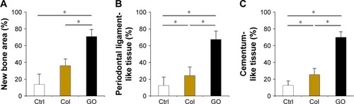 Figure 6 Histomorphometric assessment of dog class II furcation defects.Notes: (A–C) Histomorphometric measurements (N=5, mean ± SD) of new bone area (A), periodontal ligament-like tissue (B), and cementum-like tissue (C). *P<0.05.Abbreviations: Col, collagen; Ctrl, control; GO, graphene oxide.