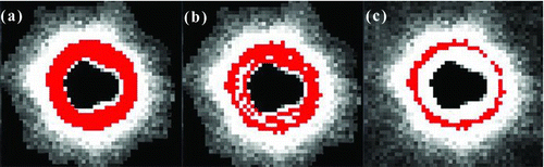 FIG. 6 Classification of pixels for analysis (ring arrangement). (a) Selected pixels after the k-means classification step (k=10, 5% threshold, 5 iterations, 313 pixels). (b) Sub-selection of pixels with high intensity by the kNN procedure (k=8, SD=1, 231 pixels). (c) Final selection of the subset of pixels used for analysis after outliers removal (106 pixels). (Color figure available online.)