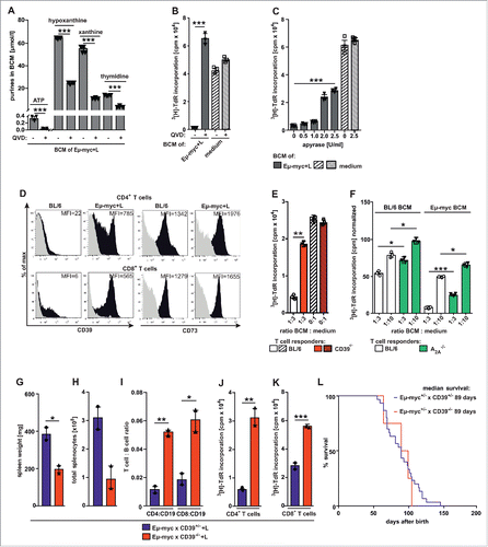 Figure 7. Metabolites of the purine degradation pathway are released by apoptotic lymphoma B cells and induce CD8+ T cell dysfunction. (A, B) MACS-purified B cells from Eµ-myc+L mice were cultured in the presence or absence of the caspase inhibitor QVD (50 µM) and BCM was harvested after indicated time points. (A) The concentrations of ATP, hypoxanthine, xanthine and thymidine in BCM from Eµ-myc+L mice were determined 1 h (ATP) and 24 h (hypoxanthine, xanthine and thymidine) after QVD or control (DMSO) treatment. (B) BCM was harvested 6 h after incubation and added to CD8+ T cell responders at a 1:1 ratio and 3[H]–TdR incorporation was measured. 1 representative out of 2 experiments is shown. (C) MACS-purified B cells from Eµ-myc+L mice were cultured in the presence or absence of the ATP degrading enzyme apyrase at different concentrations. BCMs were harvested 24 h after in vitro culture. BCMs were added to BL/6 CD8+ T cell responders at a 1:3 ratio and 3[H]–TdR incorporation was measured. 1 representative out of 3 experiments is shown. (D) CD4+ and CD8+ T cells from spleens of BL/6 or Eµ-myc+L mice were analyzed for the expression of ATP ectonucleotidases CD39 and CD73 using flow cytometry ex vivo. (n = 2; black: staining, gray: isotype, MFI: MFI staining – MFI isotype). One representative FACS plot out of 4 independent experiments is shown. (E, F) CD8+ T cells responders from naïve BL/6 or (E) CD39−/− (red bars) or (F) A2A−/− (green bars) mice were cultured in the presence or absence of Eµ-myc+L BCM at a 1:3 ratio and 3[H]–TdR incorporation was measured. Data are presented as mean value of triplicate measurements and one representative experiment out of 2 independent experiments is shown. (G) Spleen weights, (H) total splenocyte numbers and (I) T cell/B cell ratios of Eµ-myc x CD39−/−+L or Eµ-myc x CD39+/−+L. (J, K) MACS-purified (J) CD4+ and (K) CD8+ T cells were isolated from Eµ-myc x CD39−/−+L or Eµ-myc x CD39+/−+L and 3[H]–TdR incorporation was measured (n = 2 mice/group). (L) Kaplan-Meier survival curve of Eµ-myc x CD39+/−+L (n = 30) and Eµ-myc x CD39−/−+L (n = 4). Survival is depicted as Kaplan-Meier curve (n = 5 mice/group). Data are displayed as mean ± SEM. *p < 0.05, **p < 0.01, ***p < 0.0001 (Student's t test). See also Supplementary Figure S8 and S9.