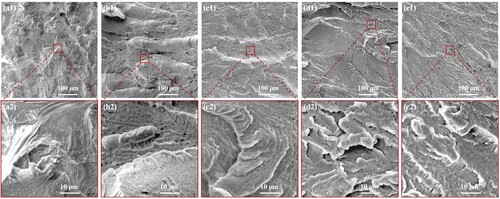 Figure 7. SEM images of tensile fractured surface of PA12/CNT@α-ZrP composites: (a) 0 wt%, (b) 0.1 wt%, (c) 0.2 wt%, (d) 0.5 wt% and (e) 1.0 wt%.