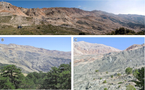 Figure 5. (A) Source area and main scarp of Akdag landslide. (B) Rill and gully channels developed on bodies of secondary slides and earthflows over dark gray clays. (C) Example of new landslide occurrence on the body of former slides.