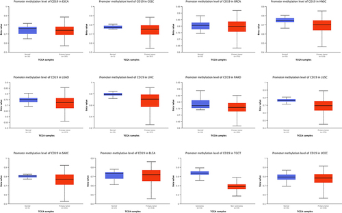 Figure 5 The methylation level of the CD19 promoter was compared between the tumor group and the normal group.