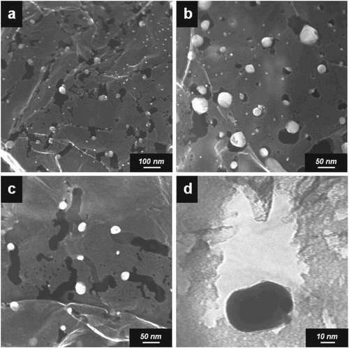 Figure 11. Several representative electron microscopy images of an Ag-graphene sample subjected to air oxidation at 300°C for 3 h: (a) a lower magnification SEM image showing both holes and tracks, SEM images showing areas enriched with (b) lower aspect ratio holes and (c) high-aspect ratio holes (ie tracks), (d) a TEM image at higher magnification showing the morphology of a hole. Reproduced from Ref. [Citation72] with permission from The Royal Society of Chemistry.