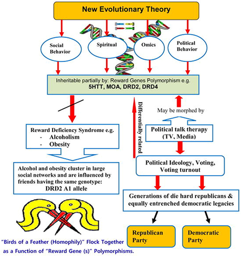 Figure 3 Genes and Human Networks.