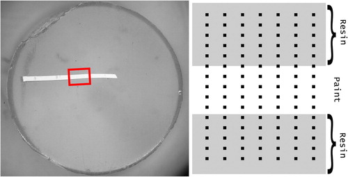 Figure 6. Large cross-sectional sample of TiO2 acrylic-based paint (sample thickness of 244 µm). Left: the red rectangle denotes the area where nano-indentation measurements were performed. Right: a geometrical representation of the indentation array, with 50 µm spacing between adjacent indents.
