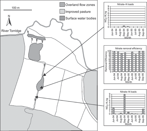 Fig. 2 Map of ditch network and nitrate concentrations at Kismeldon Meadows (after Blackwell et al. Citation2009).