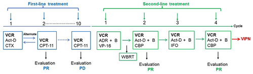 Figure 1 The treatment flow chart. VCR, vincristine, 1.5 mg/m2 (Dmax= 2.0 mg), d1, d8, d15; Act-D, actinomycin D, 0.045 mg/kg (Dmax=2.5 mg), d1; CTX, cyclophosphamide, 1.2 g/m2, d1; CPT-11, irinotecan, 50 mg/m2, d1-d5; ADR, Adriamycin, 30 mg/m2, d1-d2; VP-16, etoposide, 150 mg/m2, d1-d3; B, bevacizumab, 7.5 mg/kg, d1; CBP, carboplatin, 560 mg/m2, d1; IFO, ifosfamide, 1.8 g/m2, d1-d5; all chemotherapy regimens are repeated every 21 days. PR, partial remission; PD, disease progression.
