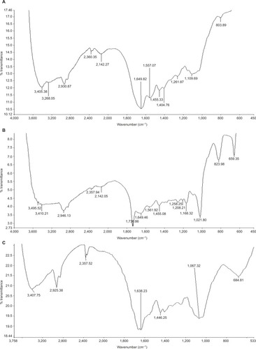 Figure 3 Fourier transform infrared spectra.