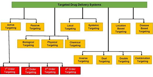 Figure 4 Various categories of drug targeting.