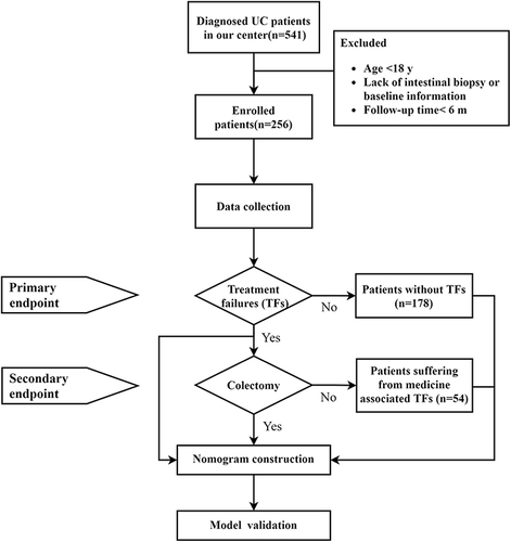 Figure 1 Flow chart of nomogram for predicting treatment failures.