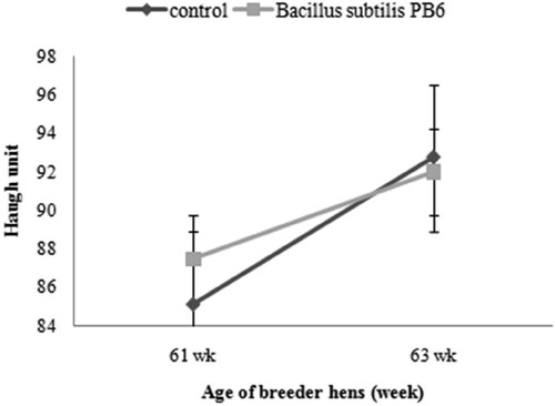 Figure 8. Effect of Bacillus subtilis PB6 supplementation on egg haugh unit of broiler breeder hens during 61–63 weeks of age. Values are presented as means ± Standard error.
