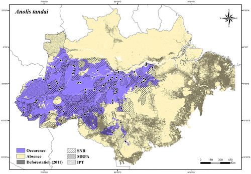 Figure 15. Occurrence area and records of Anolis tandai in the Brazilian Amazonia, showing the overlap with protected and deforested areas.