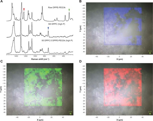 Figure 13 (A) Raman spectra obtained via confocal microscopy of raw dipalmitoylphosphatidylethanolamine poly(ethylene glycol)-3k (DPPE-PEG3k), formulated spray-dried (SD) dipalmitoylphosphatidylcholine (DPPC), and formulated co-SD 95 DPPC:5 DPPE-PEG3k (high P). Colored arrowheads show mapped bands. (B) Raman spectroscopic mapping showing the area of the Raman bands between 700 and 740 cm−1 (brighter colors indicate greater area) superimposed on a bright-field optical image of the surface of a particle of formulated SD DPPC (100% pump rate). (C) Map showing the area of the Raman bands between 270 and 295 cm−1. (D) Map showing the area of the Raman bands between 1225 and 1250 cm−1.