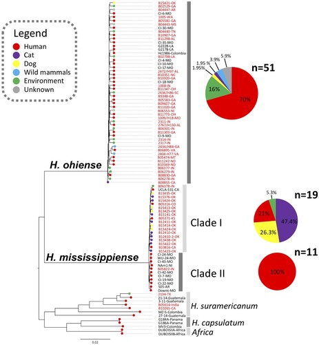 Figure 1. Whole-genome phylogenetic tree of Histoplasma isolates collected in the United States. The branches are proportional to the number of mutations and 1000 ultrafast bootstraps and SH-aLRT were used supporting the major branches of the tree. The nodes in the tree represent common ancestors, and the branching points indicate the divergence of lineages. The tips represent each Histoplasma isolate and are colour-coded according to its source; the percentage of each source of isolation was plotted in a pie chart. The state or country of isolation were added next to each taxa; two isolates had no information regarding the place of isolation (NI).