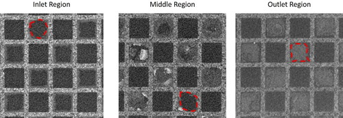 Figure 9. Raw images of DPF #12 zone scan.