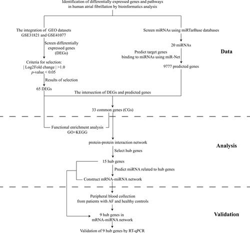 Figure 1 Study flowchart.